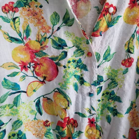 Lauren Conrad Fruit and Floral Crop Collared Tee XL - Picture 5 of 8